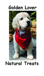 A puppy wearing a red bandana sitting on the ground.