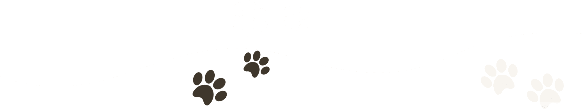 A green background with two white paws and one brown paw.