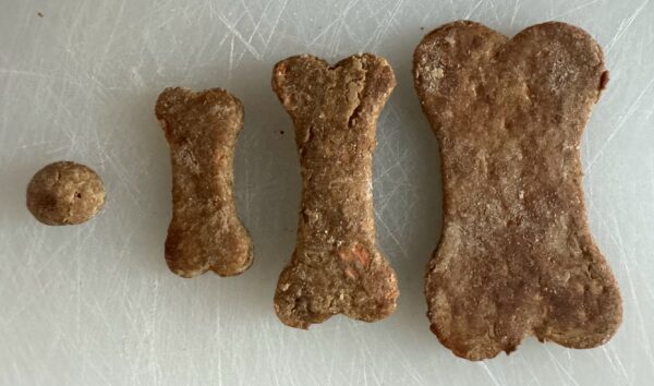 Peanut Butter Delight dog treats